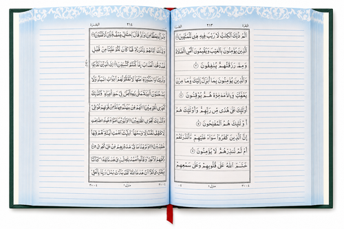Bayaz Quran